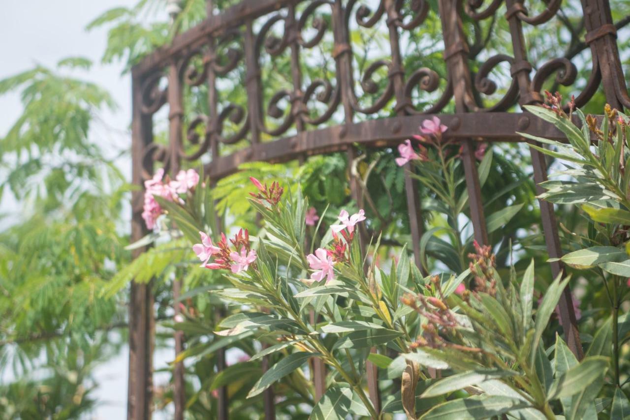 Vinauberge Poilhes Kültér fotó